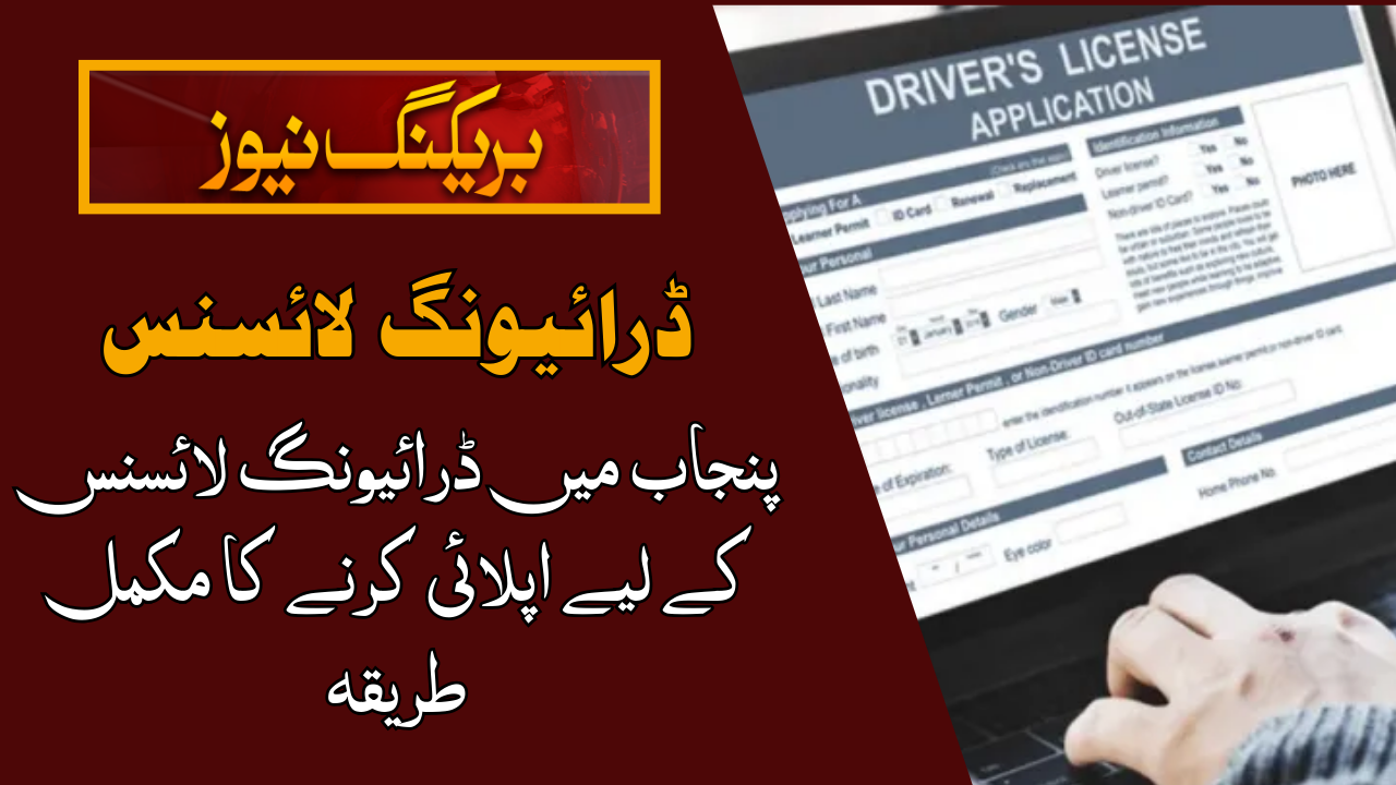 Driving License in Punjab